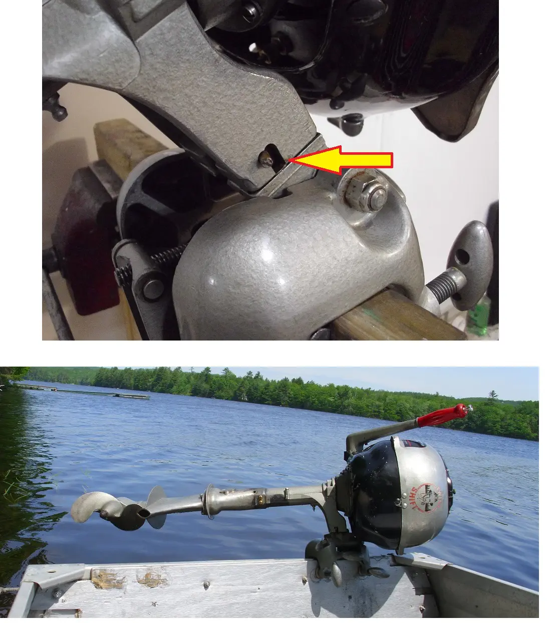 Martin-2