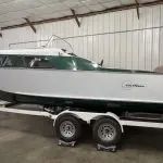 Johnson super seahorse